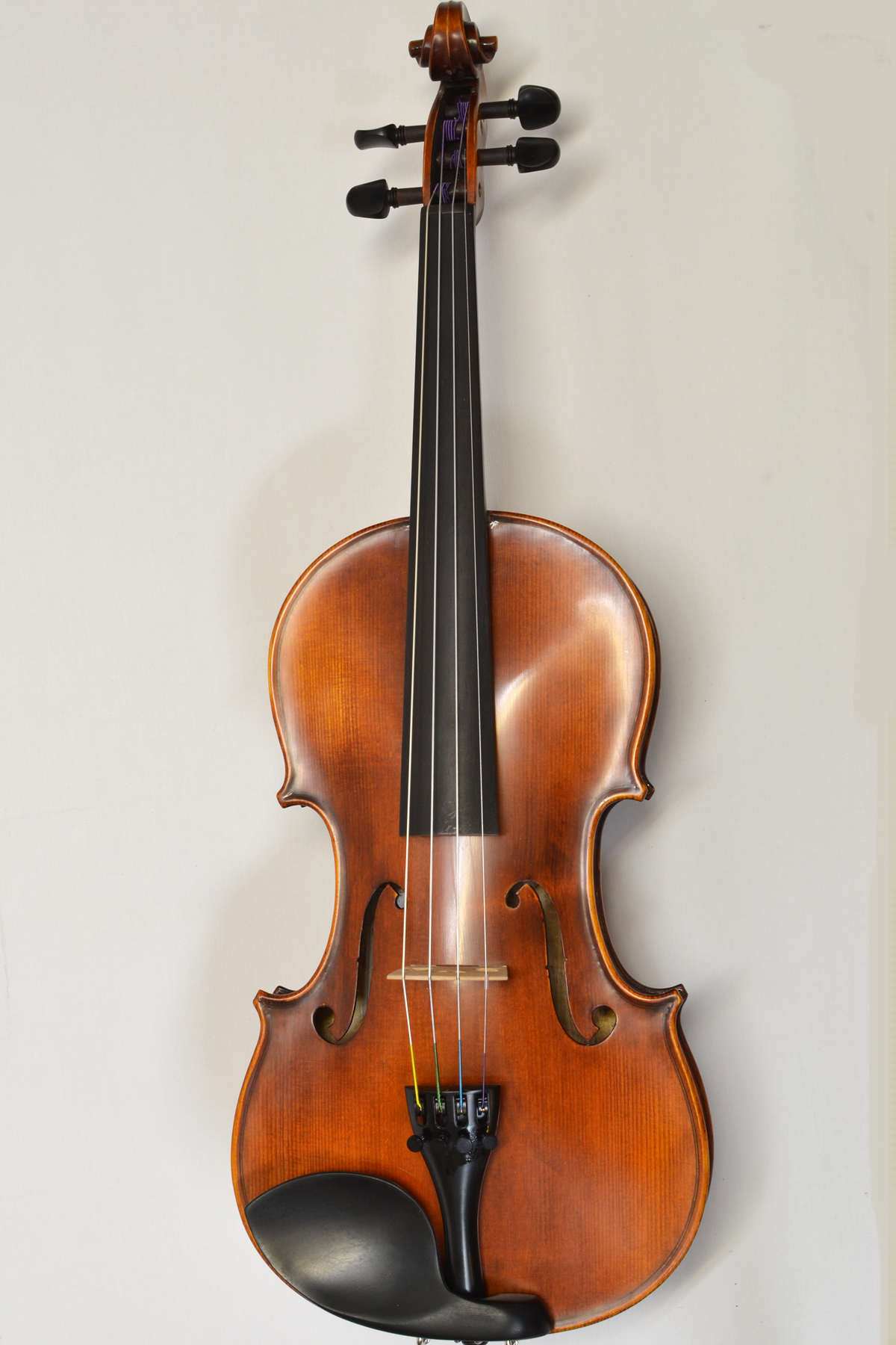 Westbury Antiqued Violin with Dominant Strings Eastman